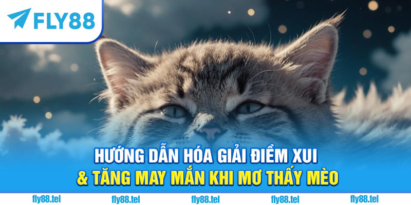 Nằm Mơ Thấy Mèo Là Điềm Gì? Giải Mã, Con Số Chuẩn 2 Hướng dẫn hóa giải điềm xui & tăng may mắn khi mơ thấy mèo